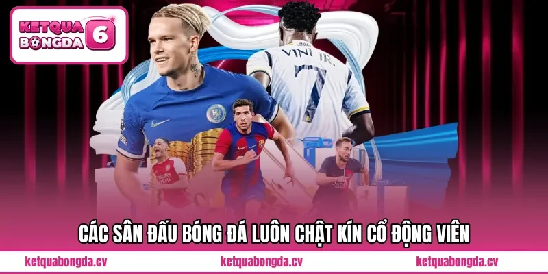 Các sân đấu bóng đá luôn chật kín cổ động viên