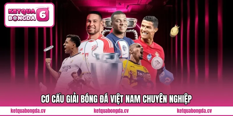 Cơ cấu giải bóng đá Việt Nam chuyên nghiệp