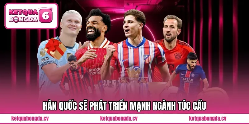 Hàn Quốc sẽ phát triển mạnh ngành túc cầu